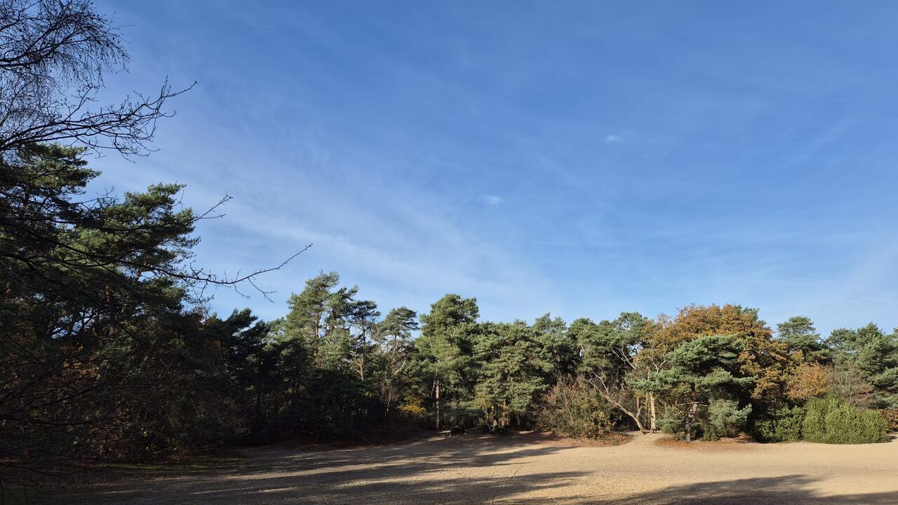 De zandvlakte in Losser